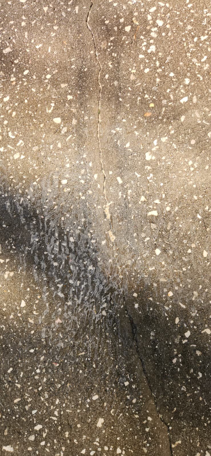 Water heater flush and plumbing check in Tampa, FL 33647