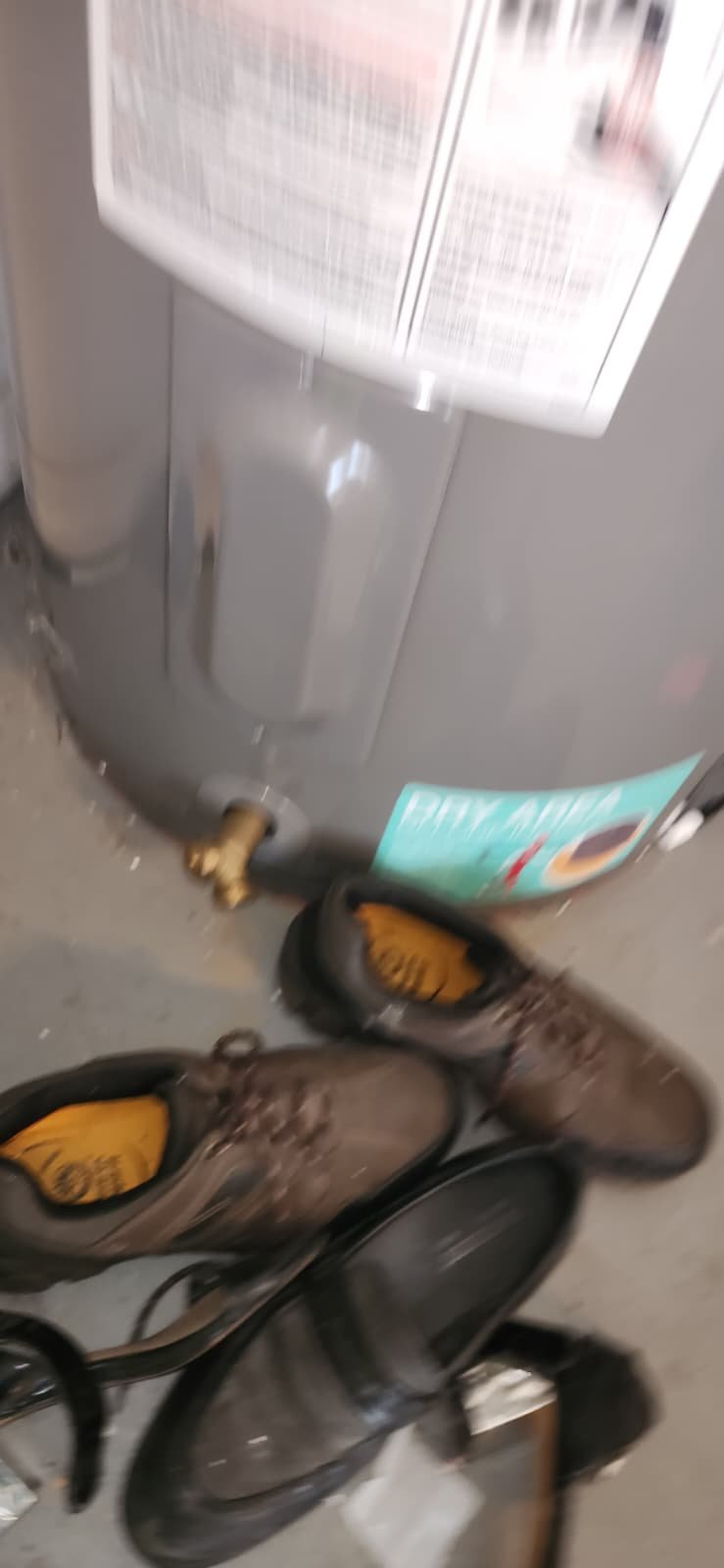 Water heater service and flush in Tampa, FL 33647