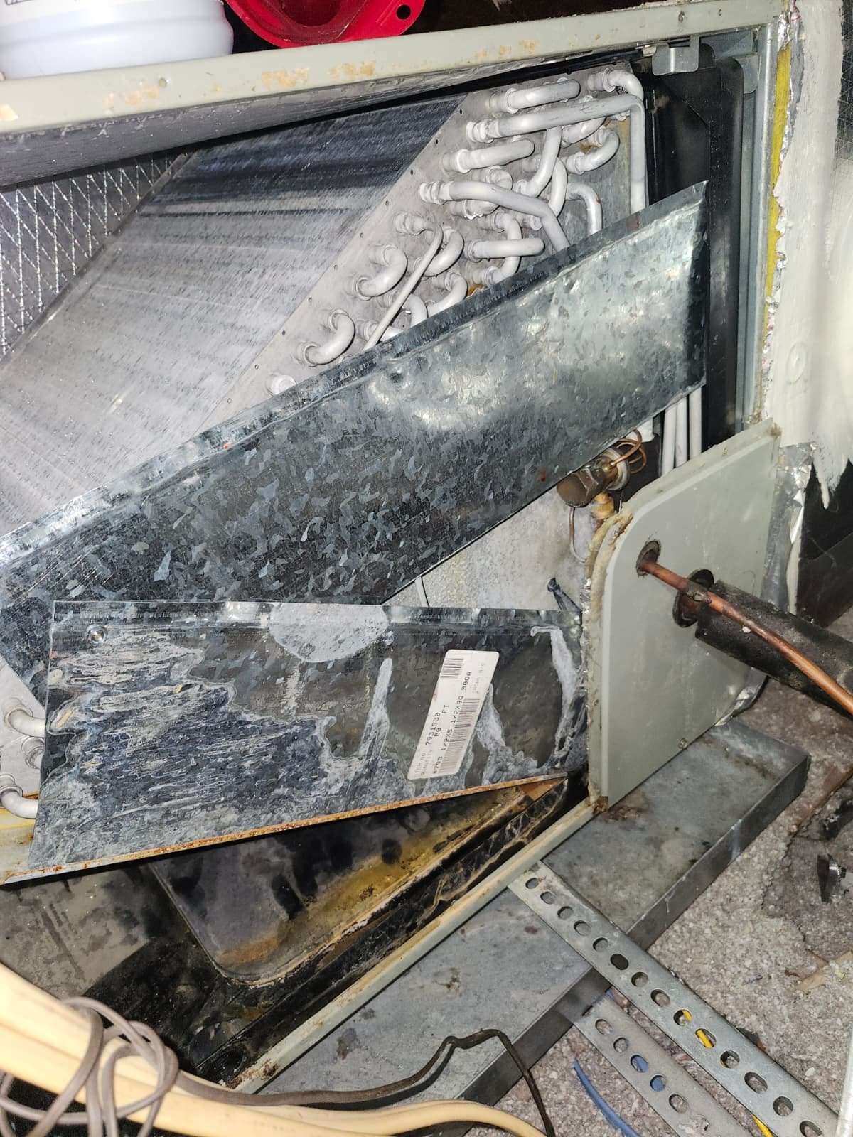 AC drain service in Tampa, FL 33604