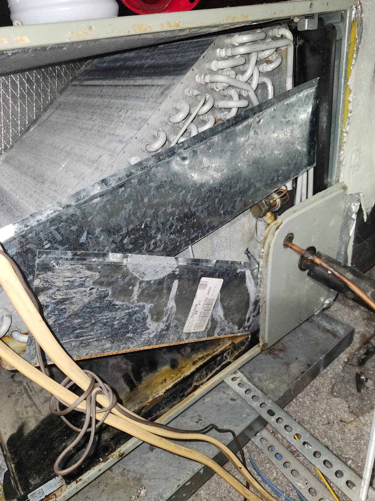 AC drain and P-trap repair in Tampa, FL 33604