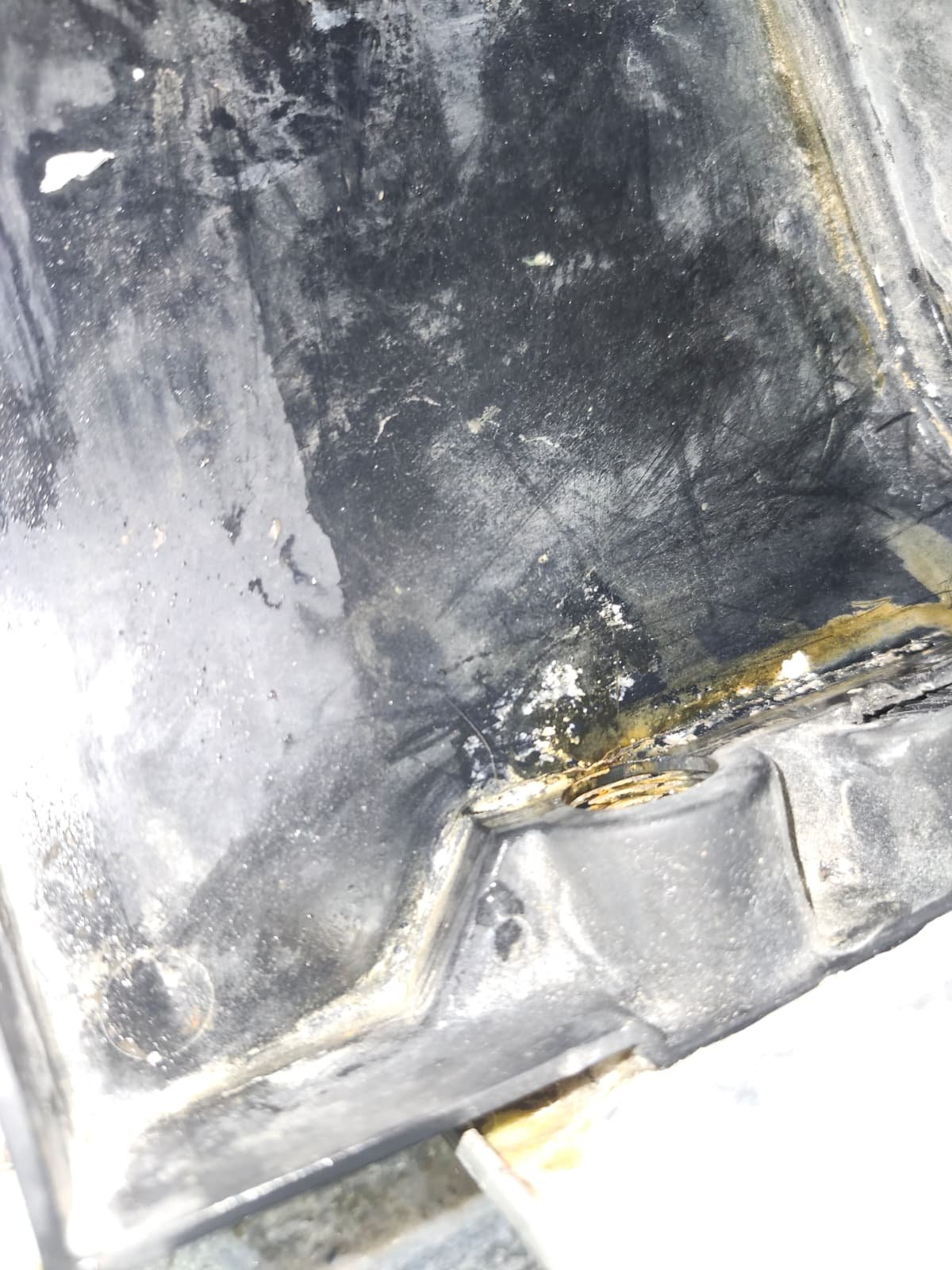 P-trap drain improvement in Tampa, FL 33604