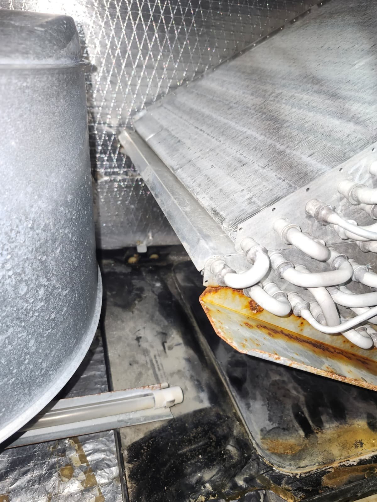 AC drain pan service in Tampa, FL 33604