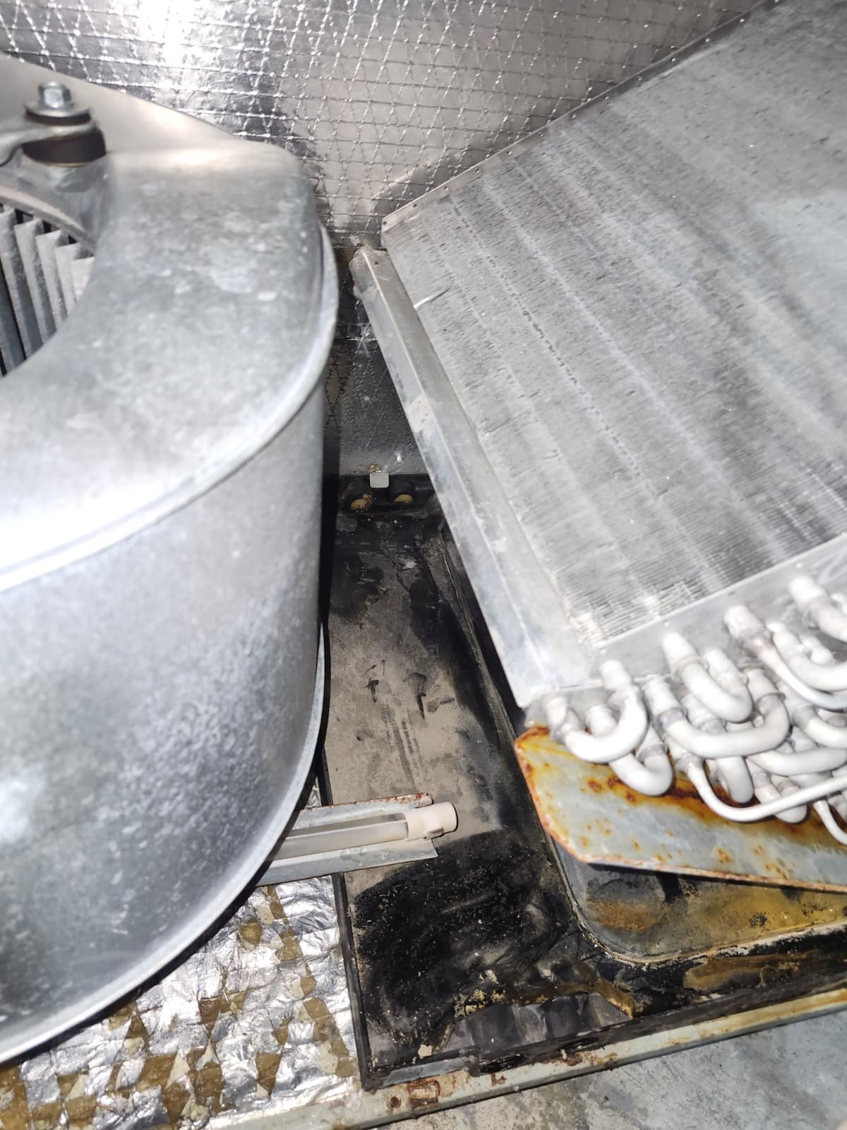 HVAC warranty drain pan work in Tampa, FL 33604