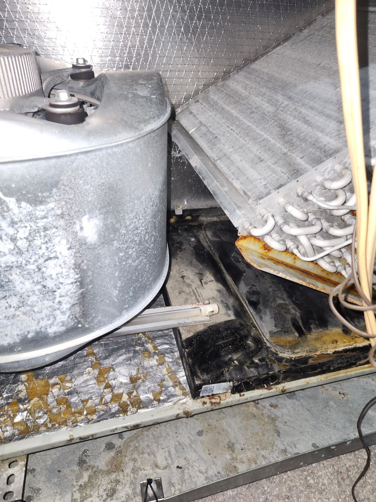 Drain pan replacement service in Tampa, FL 33604