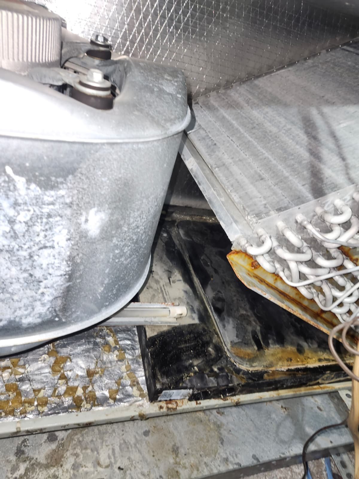 HVAC drain pan and line service in Tampa, FL 33604