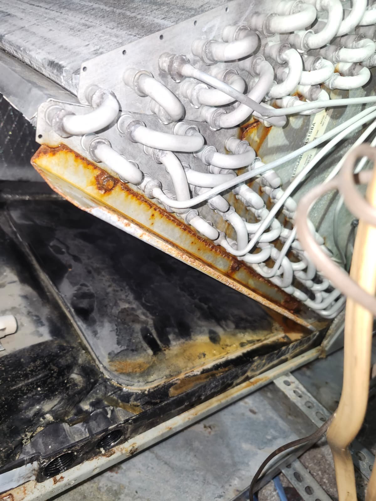 HVAC primary pan replacement in Tampa, FL 33604