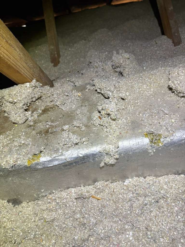 Blower wheel cleaning during AC tune-up Zephyrhills, FL 33540