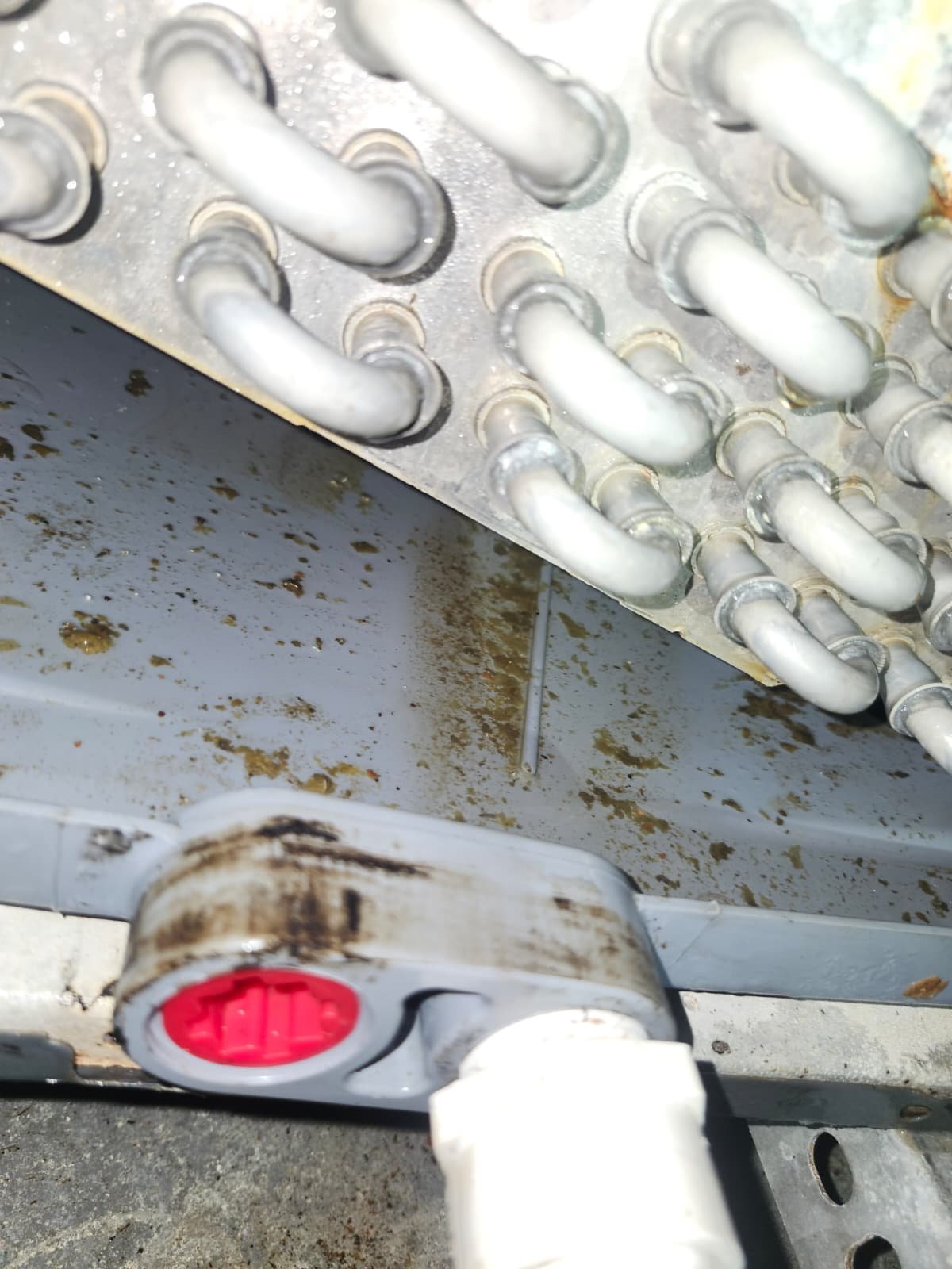 Thermostat and drain service St. Pete Beach, FL 33706