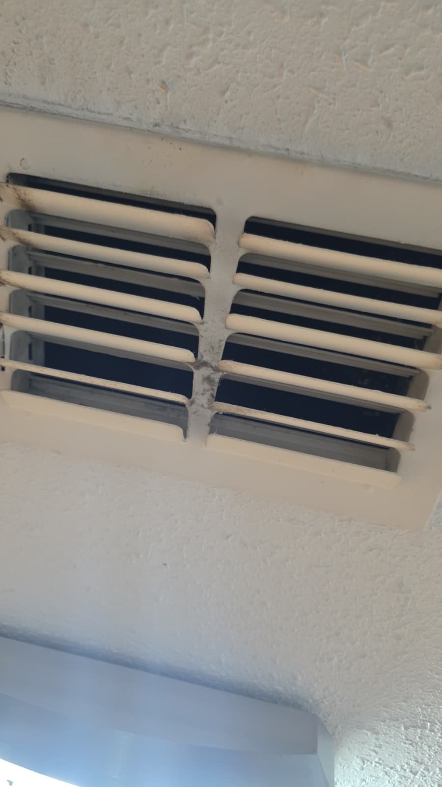 AC tune-up in Tampa, FL 33614