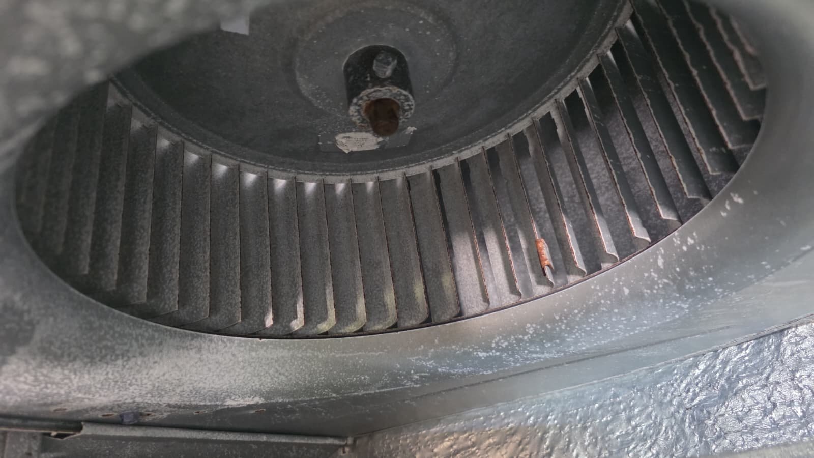 Premium HVAC maintenance in Lithia, FL 33547