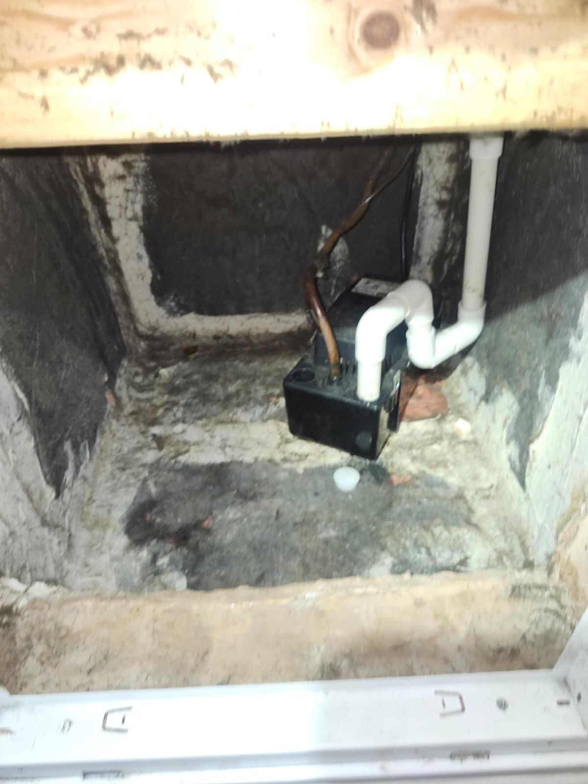 Water pump replacement service Tampa, FL 33615