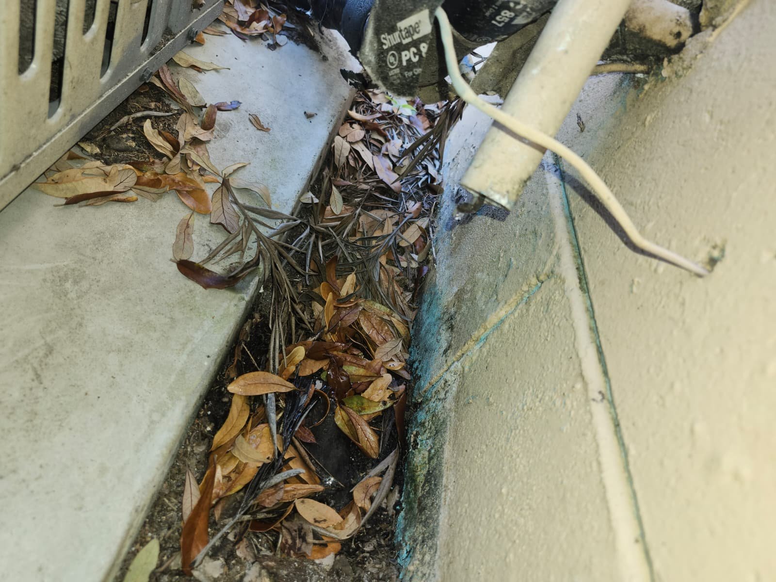 Water pump installation Tampa, FL 33615