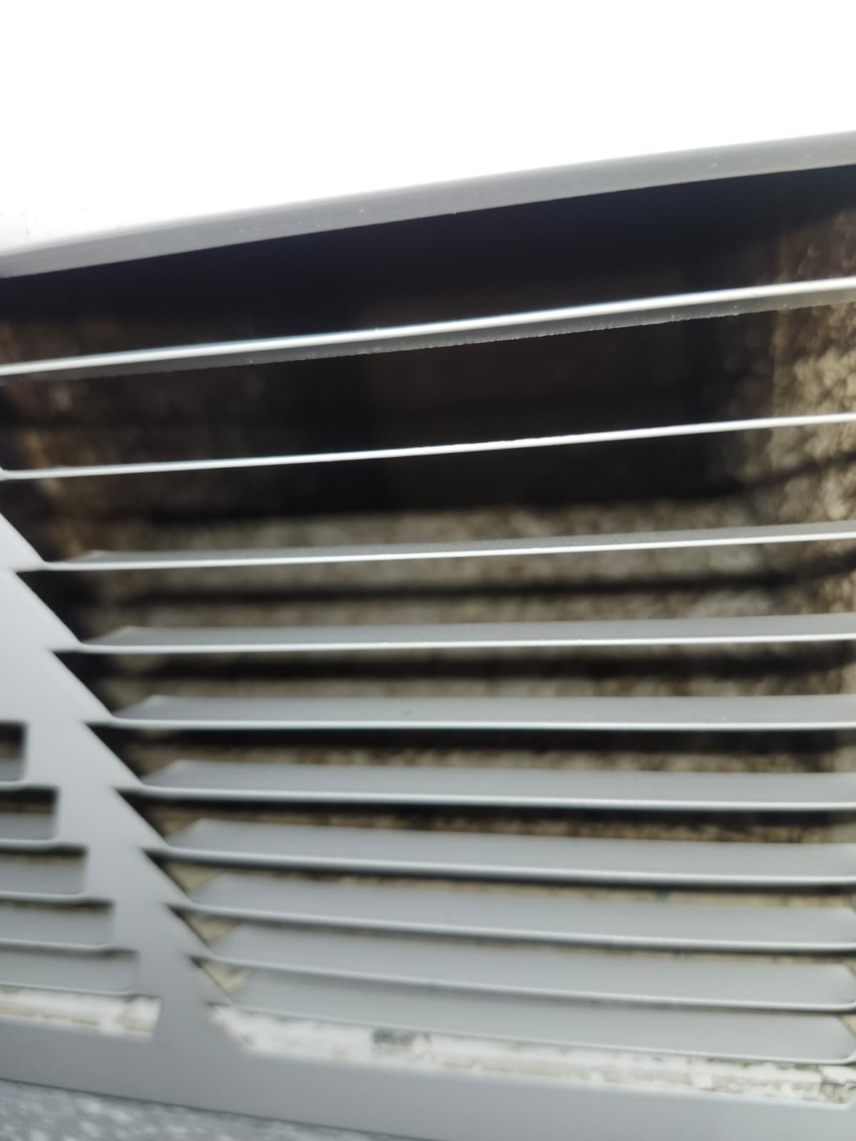 Water pump repair Tampa, FL 33615