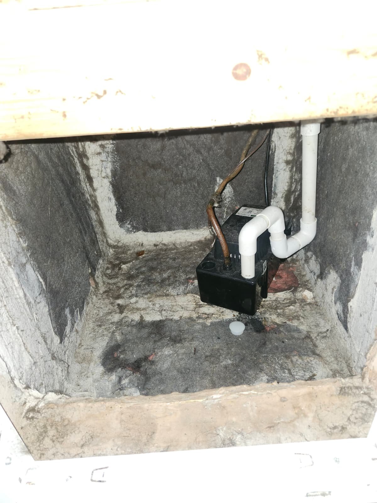 Water pump unit replacement Tampa, FL 33615