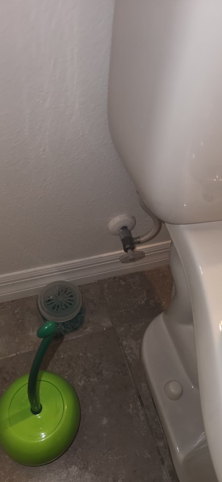 Plumbing and water heater service in Tampa, FL 33618