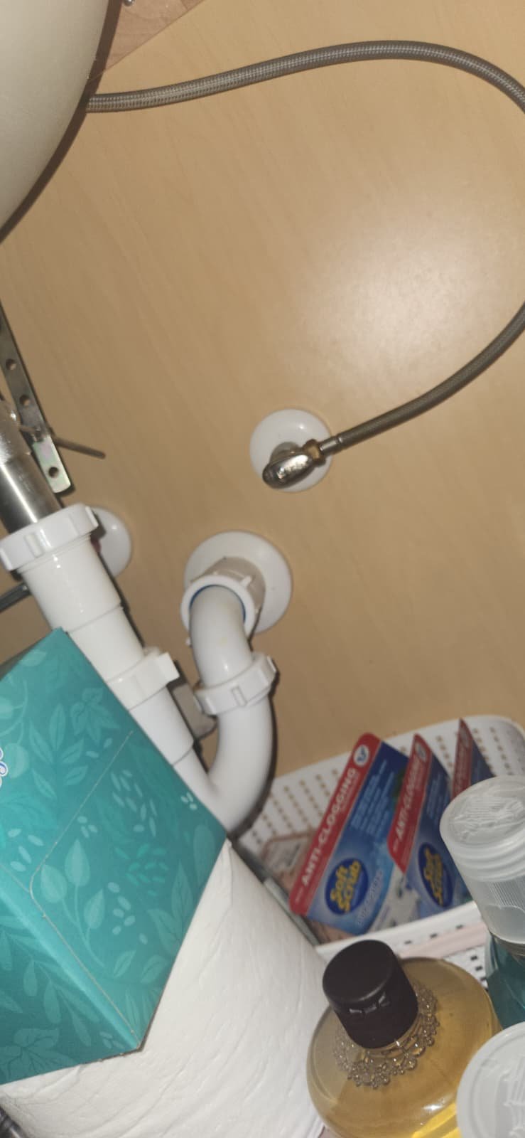 Water heater system check in Tampa, FL 33618