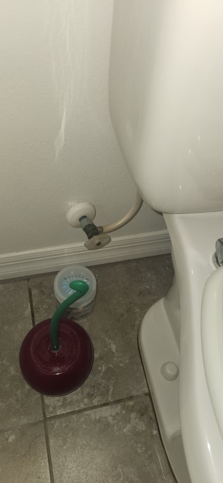 Premium plumbing inspection in Tampa, FL 33618