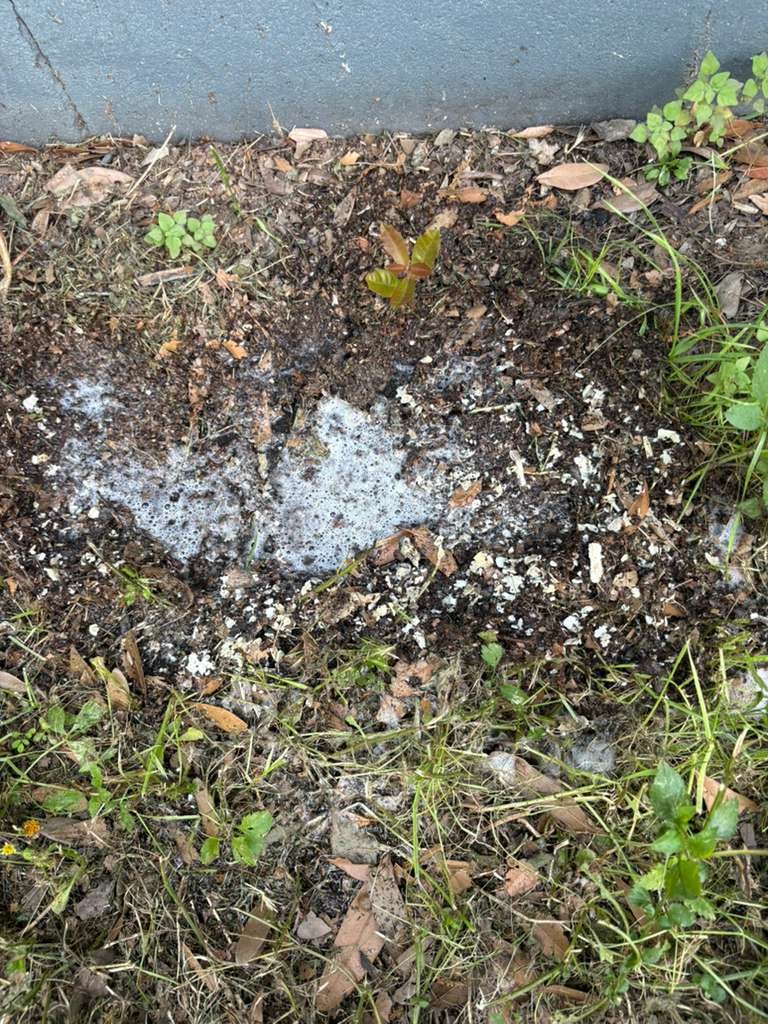 AC system tune-up Tampa, FL 33602