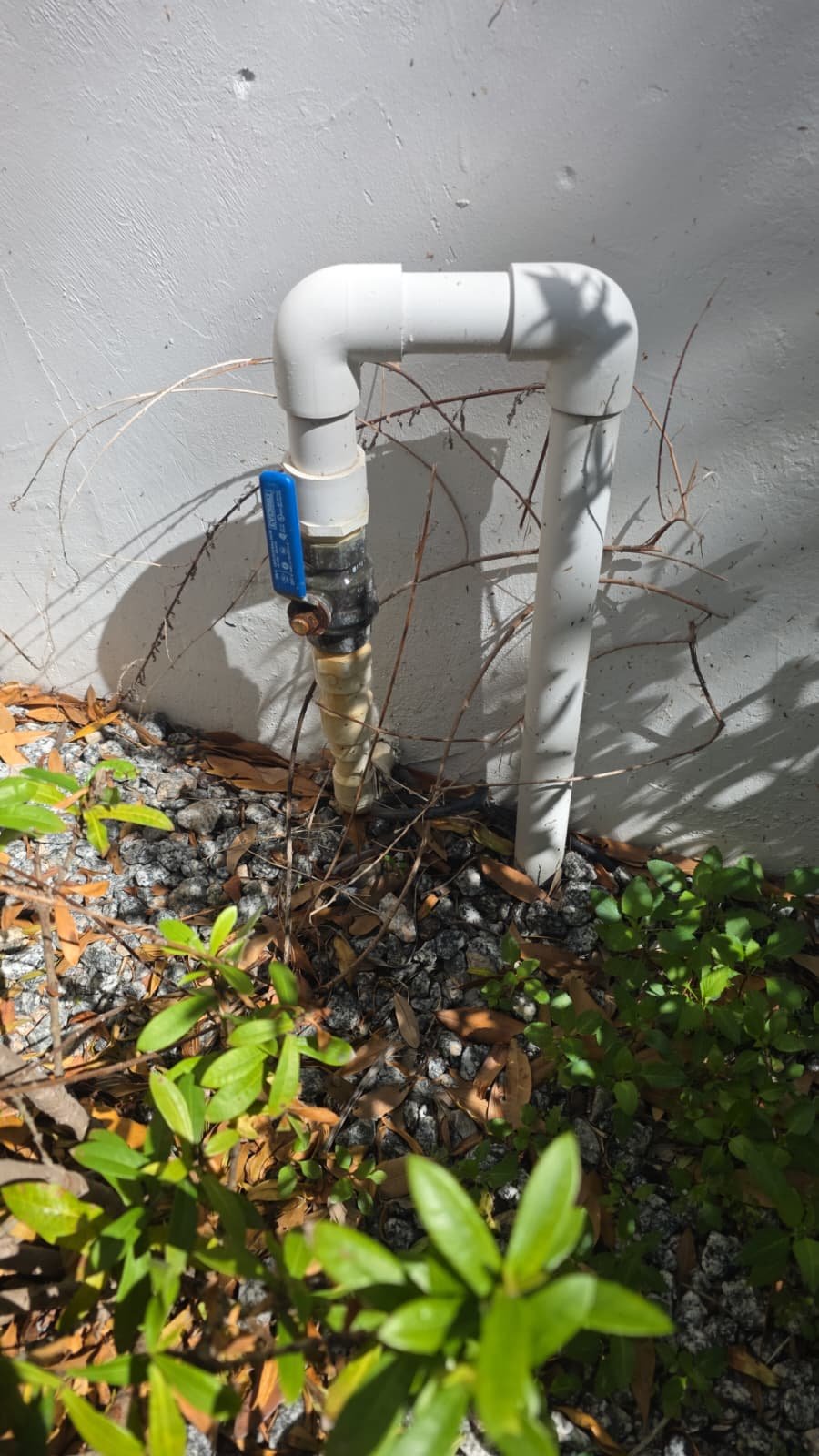 Flo Smart water monitor installation in Tampa, FL 33629