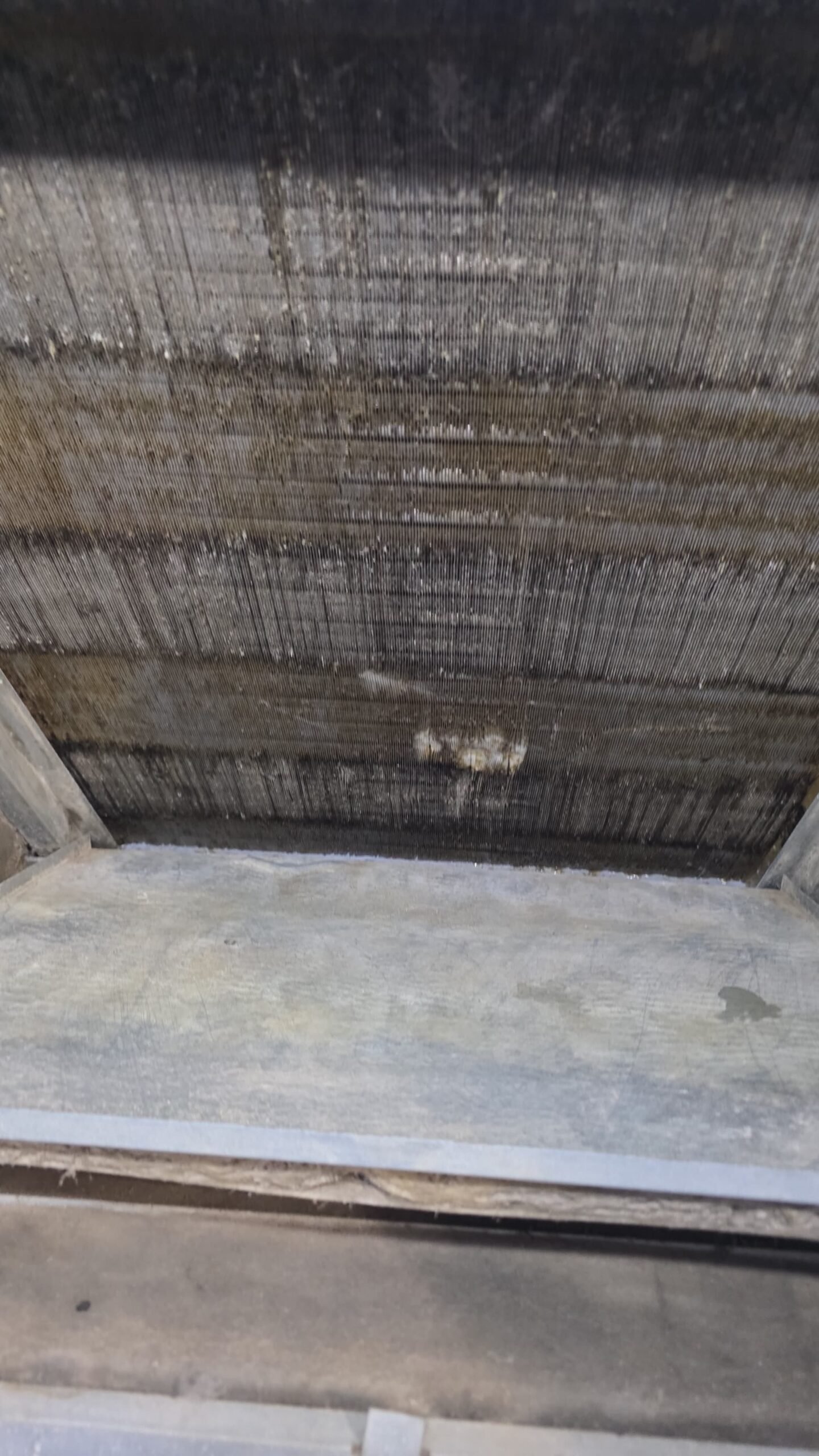 HVAC preventive maintenance visit in Tampa, FL 33634