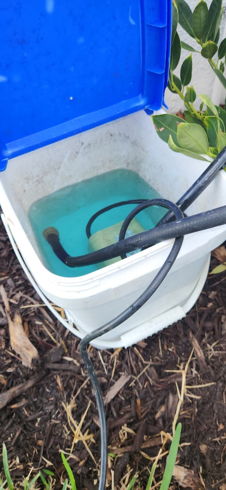 Water heater maintenance and flush in Wesley Chapel, FL 33543