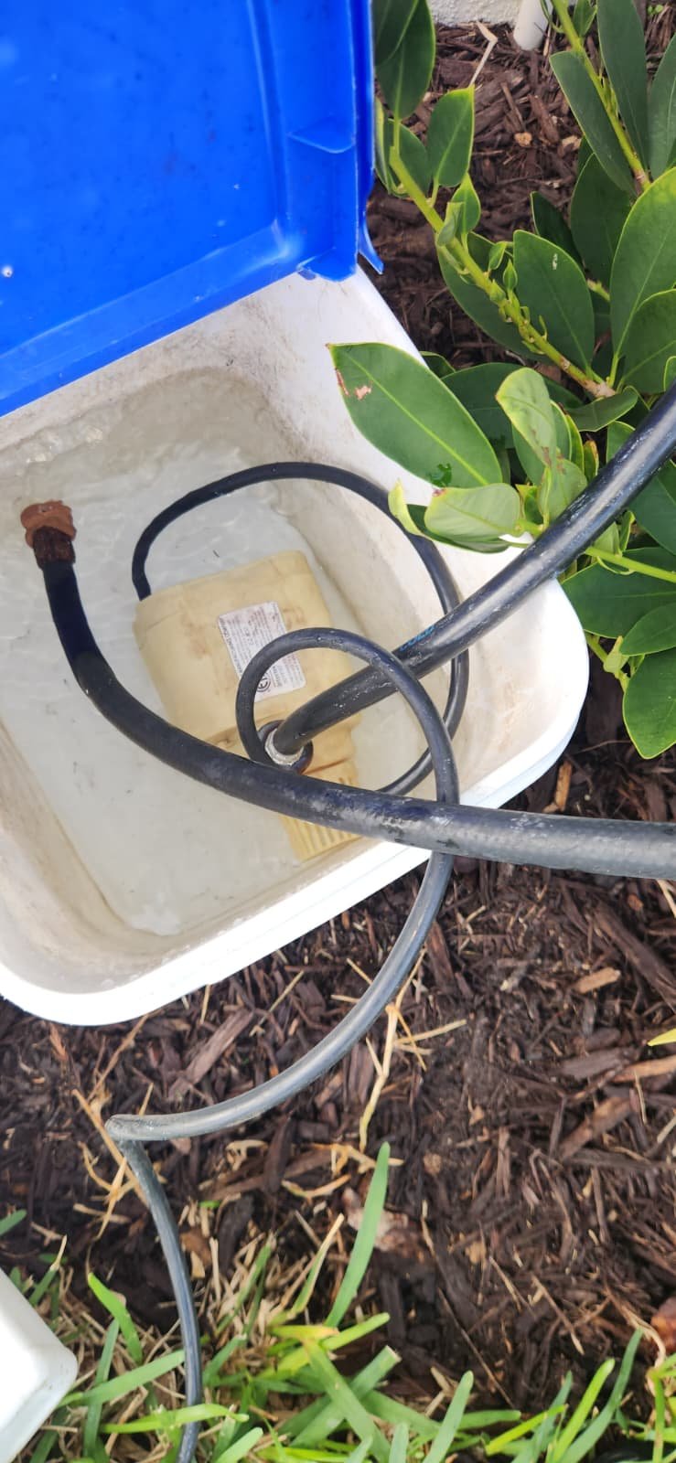 Water heater flush inspection in Wesley Chapel, FL 33543