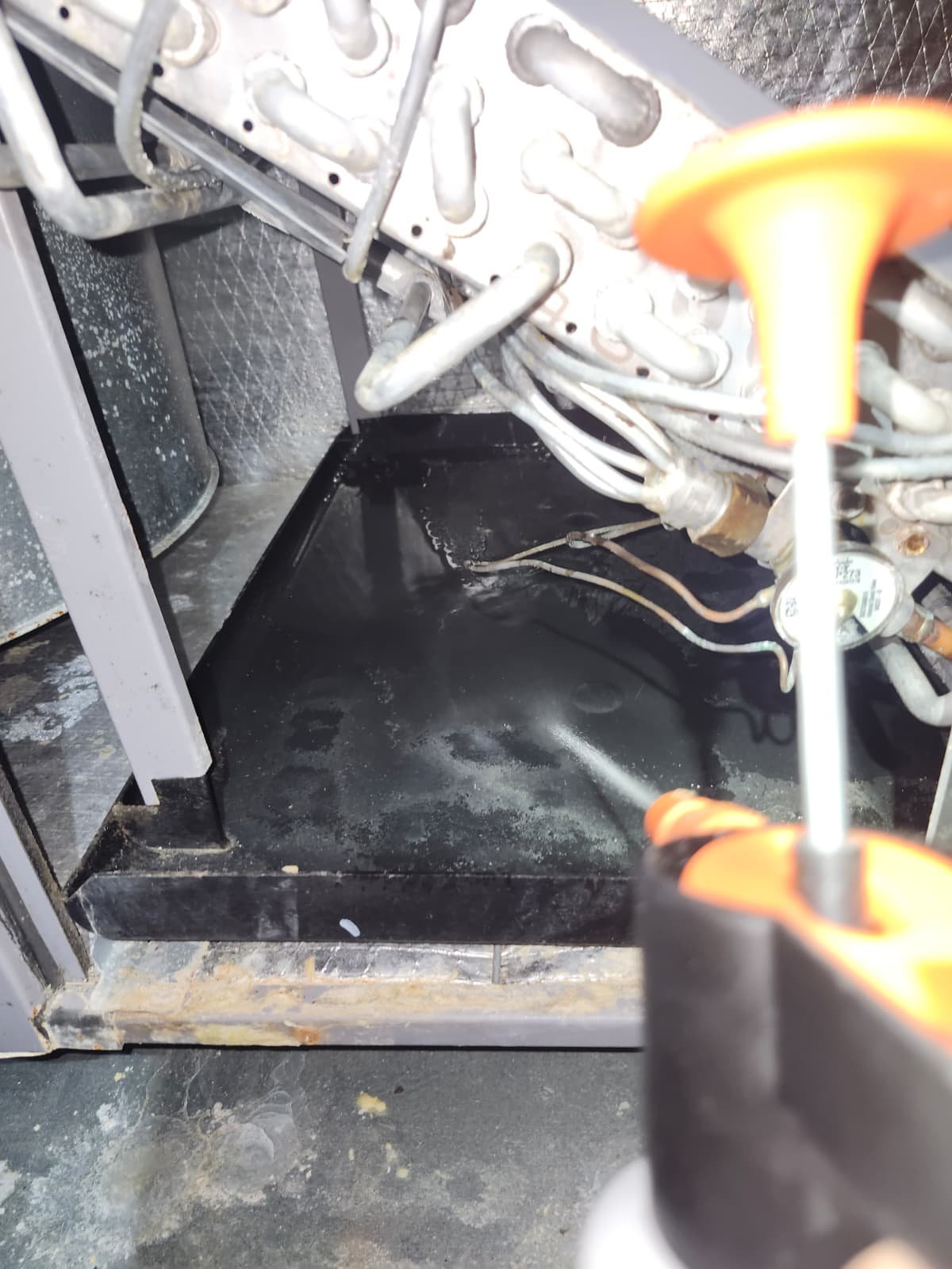 HVAC filter replacement Tampa, FL 33634