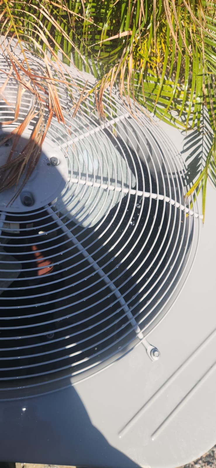 Routine AC maintenance in Wesley Chapel, FL 33545