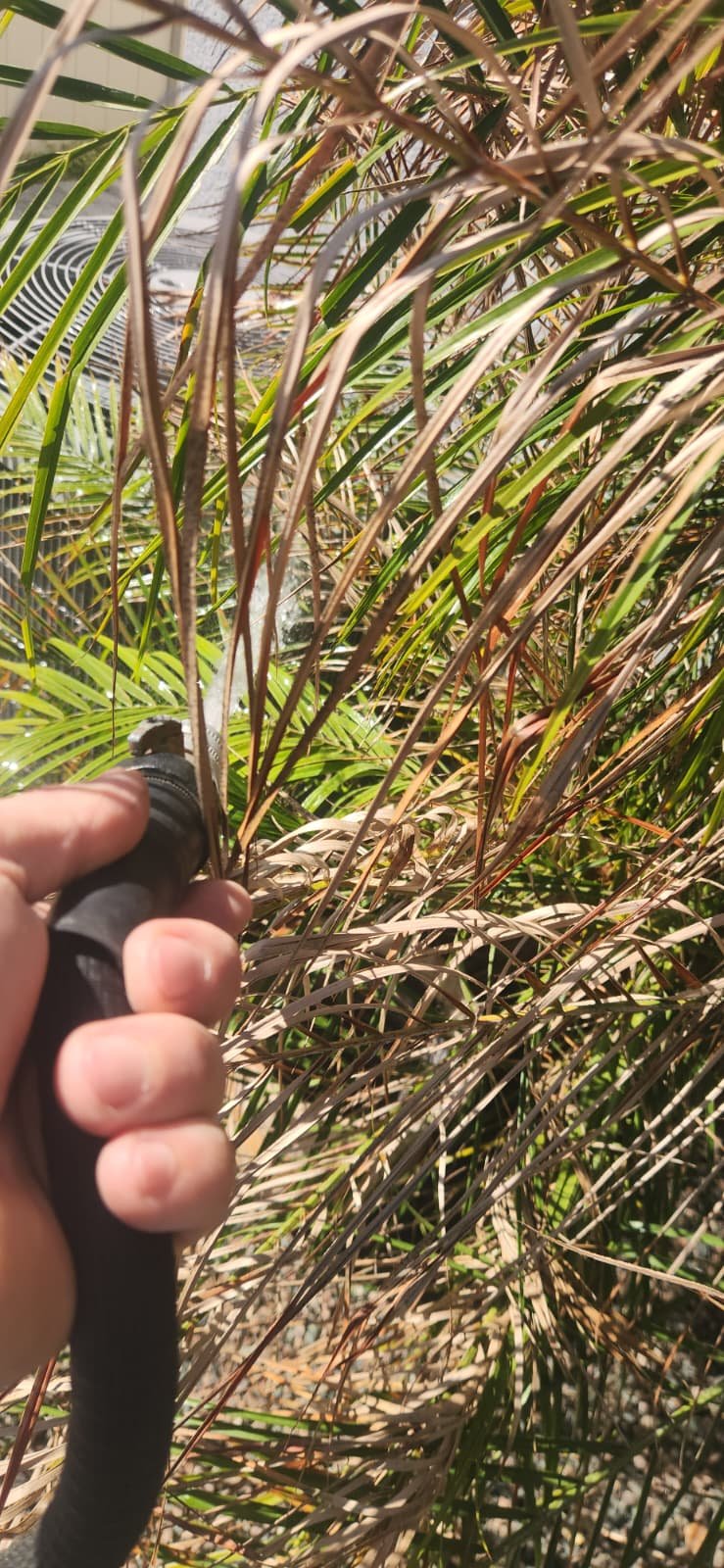 AC maintenance service visit in Wesley Chapel, FL 33545