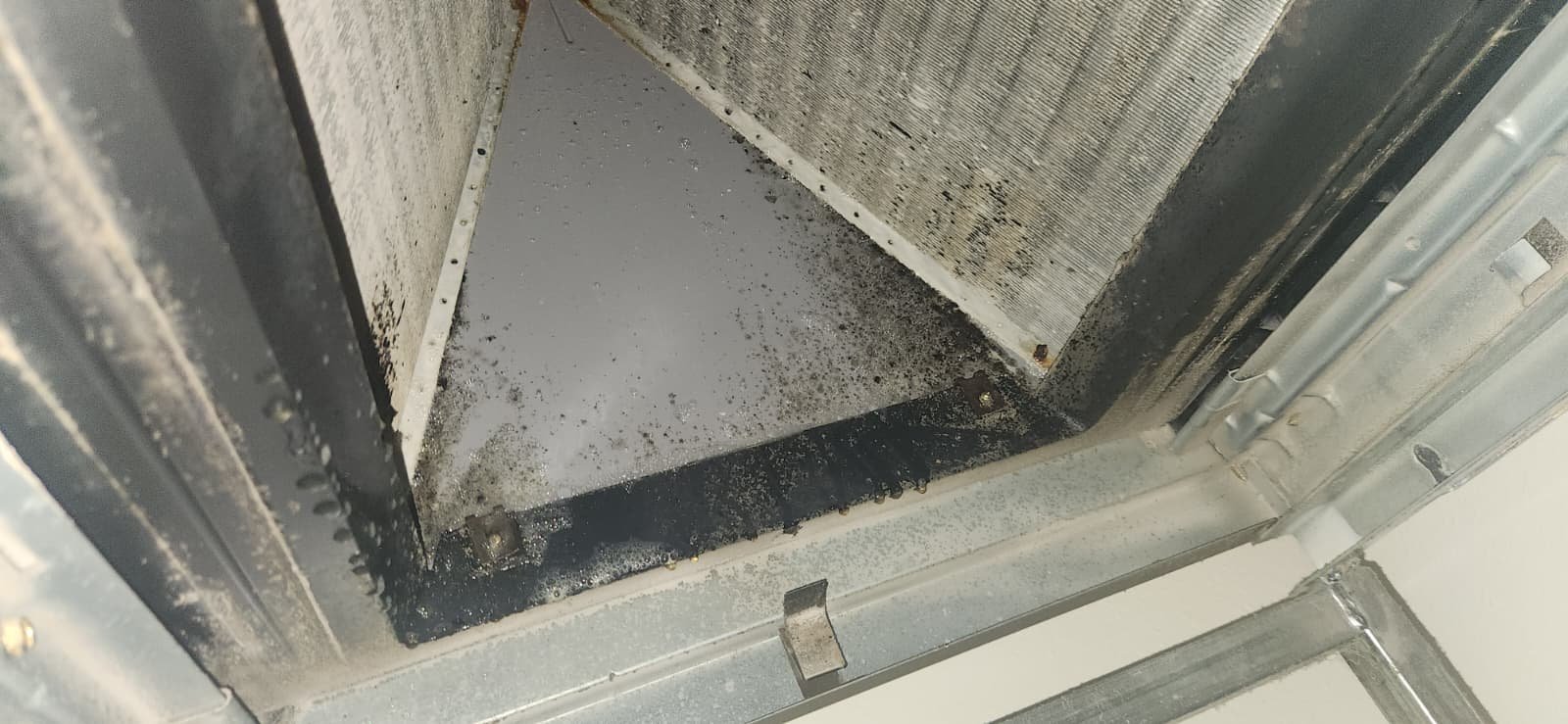 Premium AC maintenance plan in Wesley Chapel, FL 33545