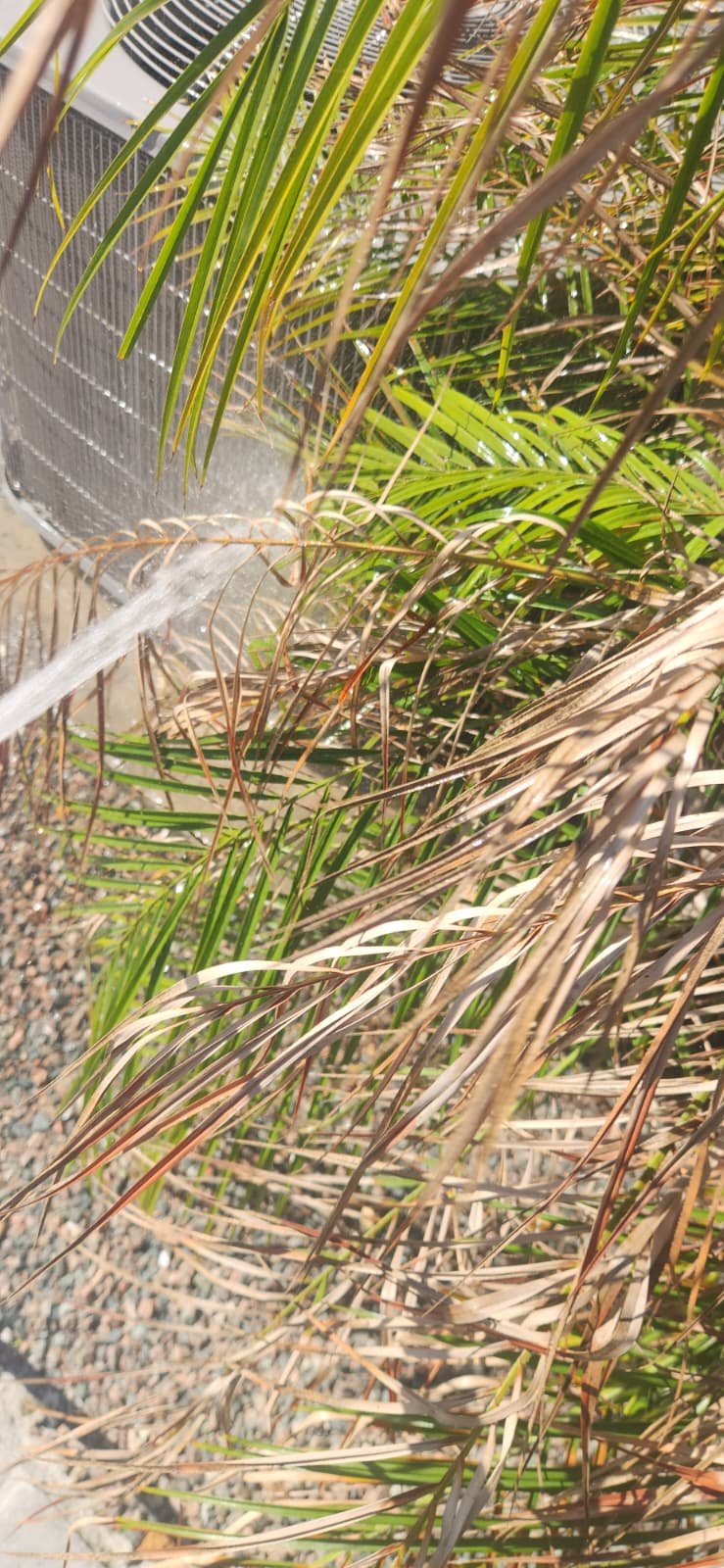 AC system tune-up in Wesley Chapel, FL 33545