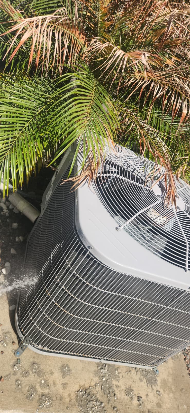 HVAC performance check in Wesley Chapel, FL 33545