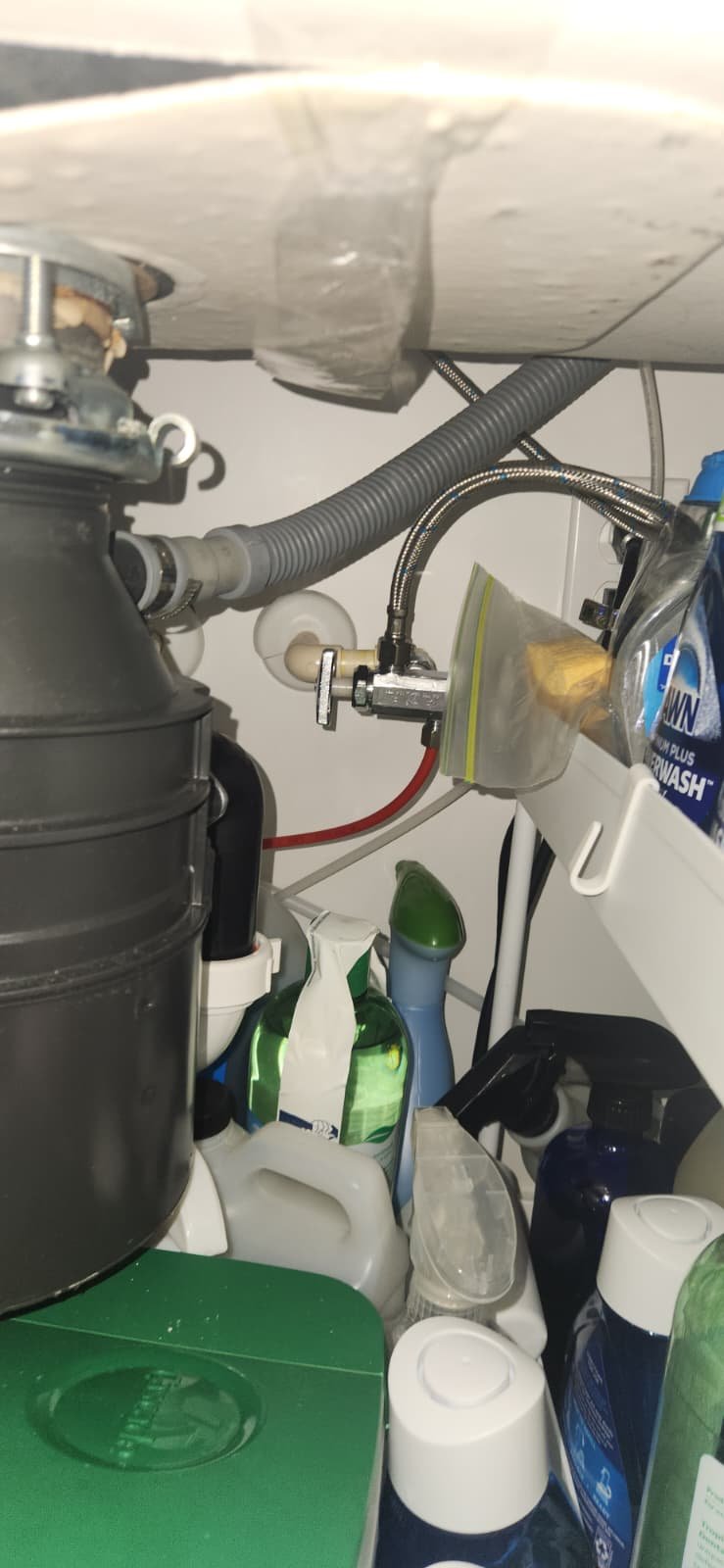 Plumbing inspection in Tampa, FL 33617