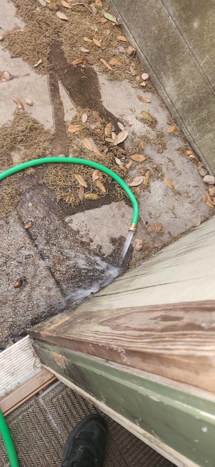 Plumbing system checkup in Tampa, FL 33617