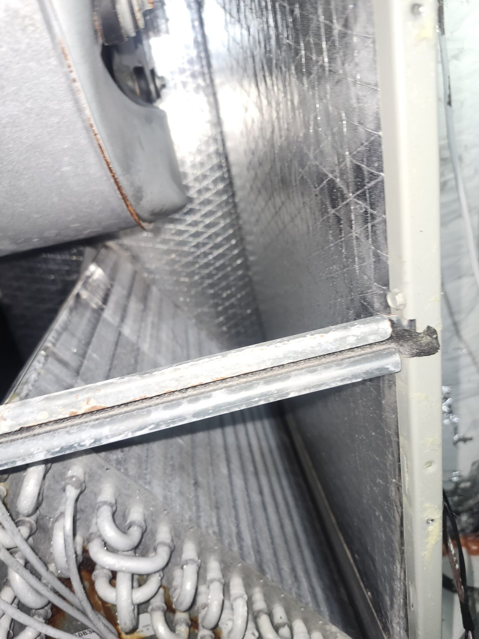 Guided home therapy care Tampa, FL 33629