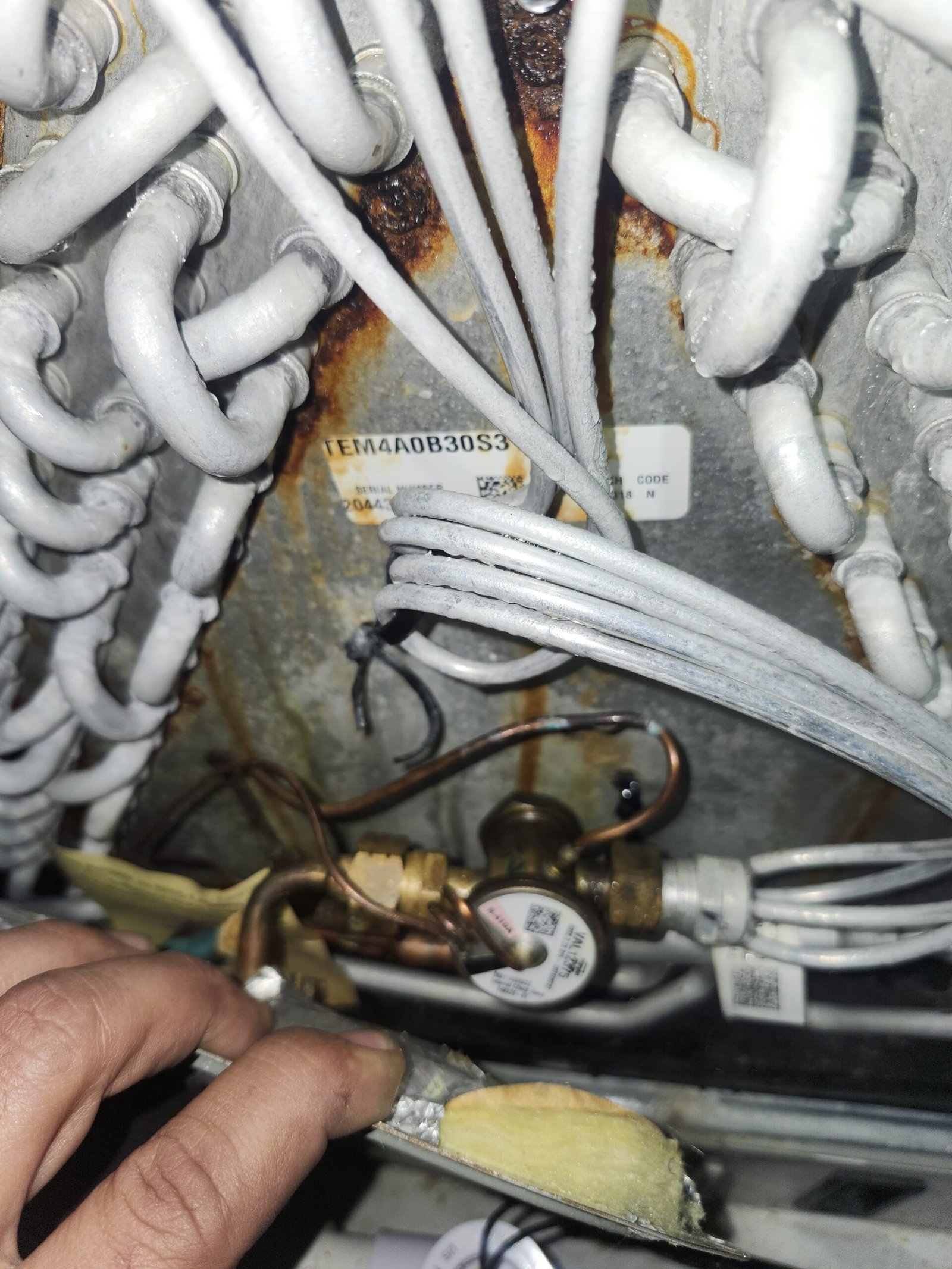 Premium home therapy visit Tampa, FL 33629