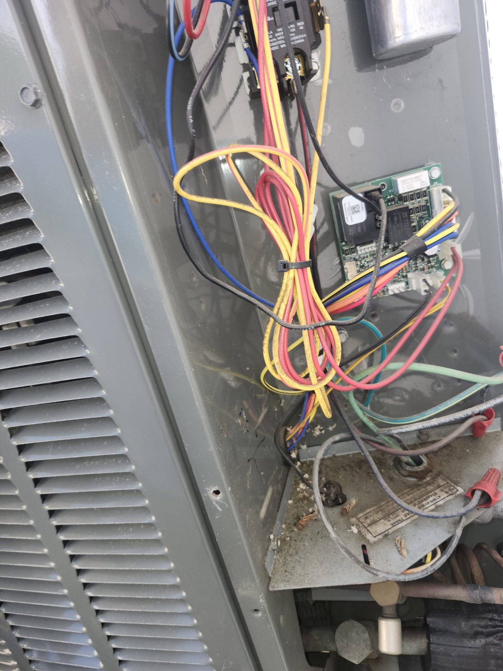 Personalized home therapy Tampa, FL 33629