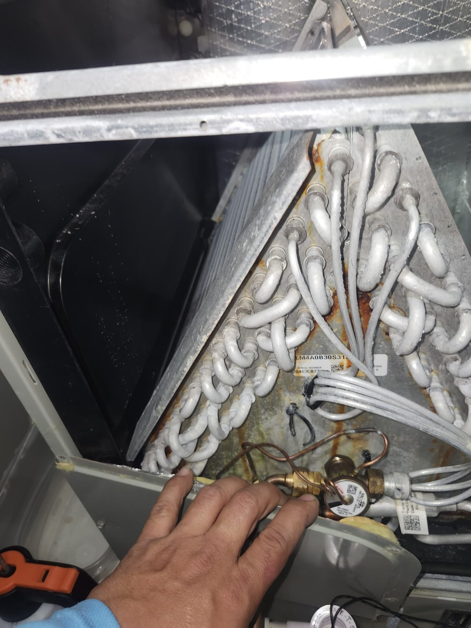 In-home therapy session Tampa, FL 33629