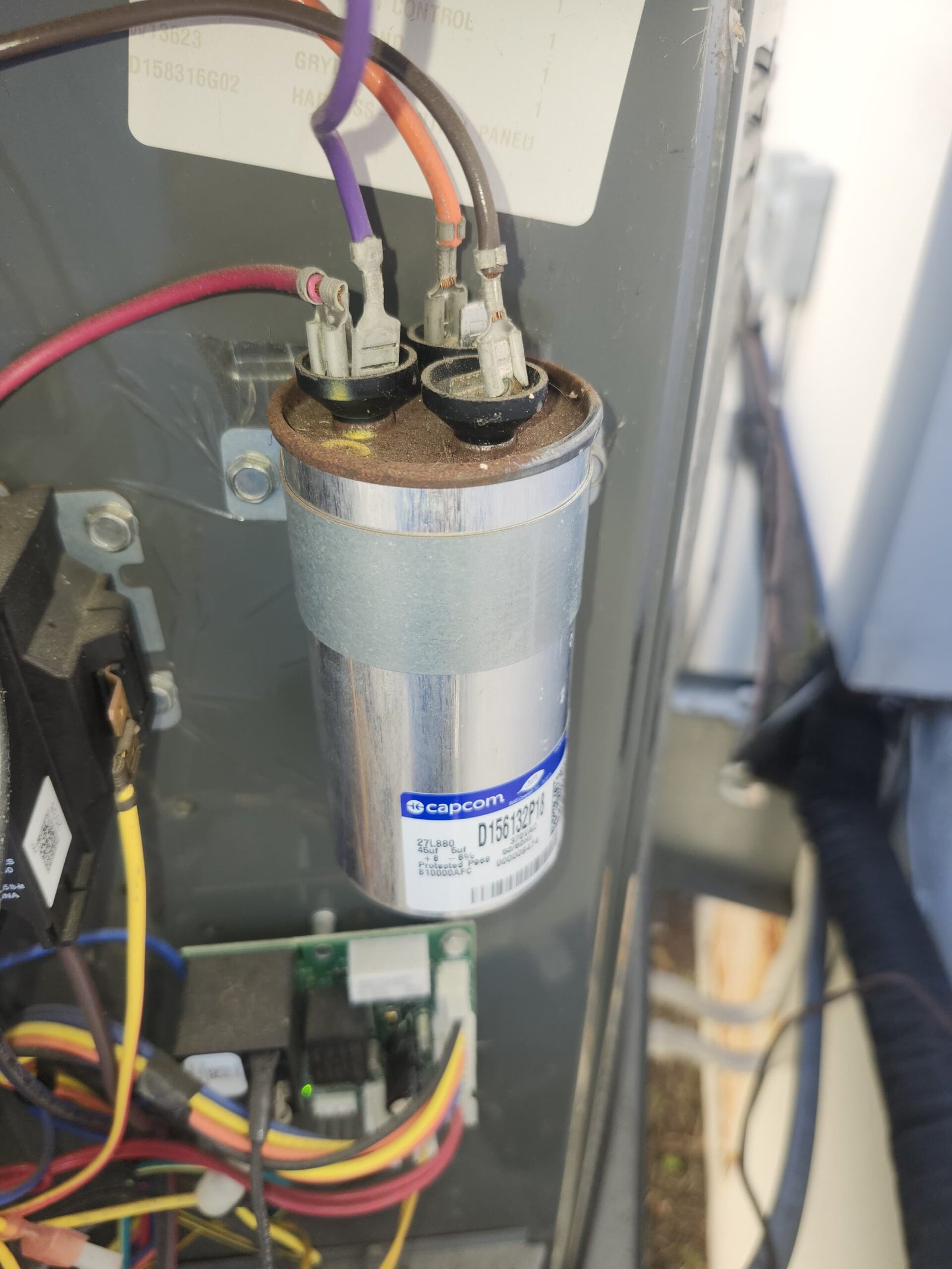 Home therapy program Tampa, FL 33629