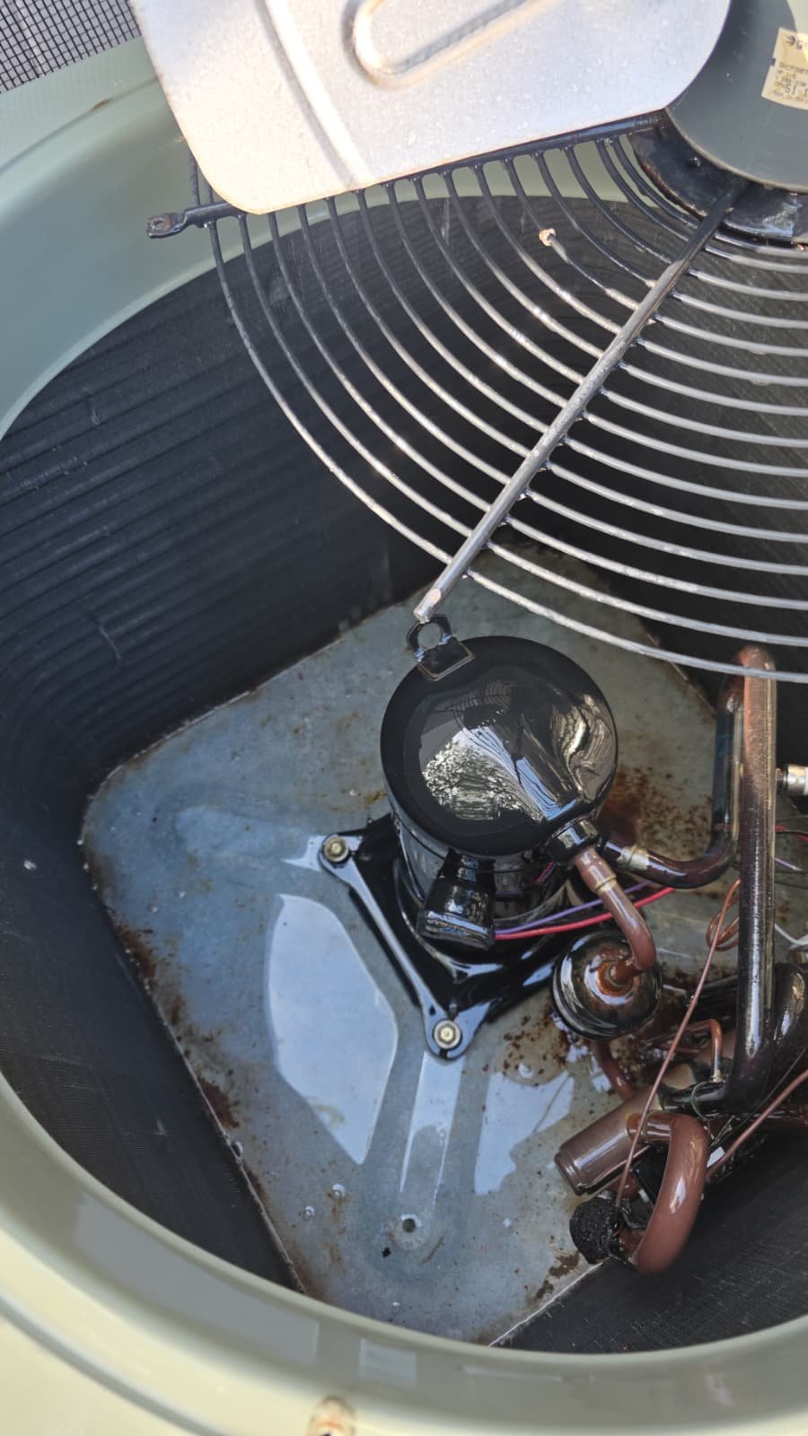 AC tune-up and inspection Tampa, FL 33624