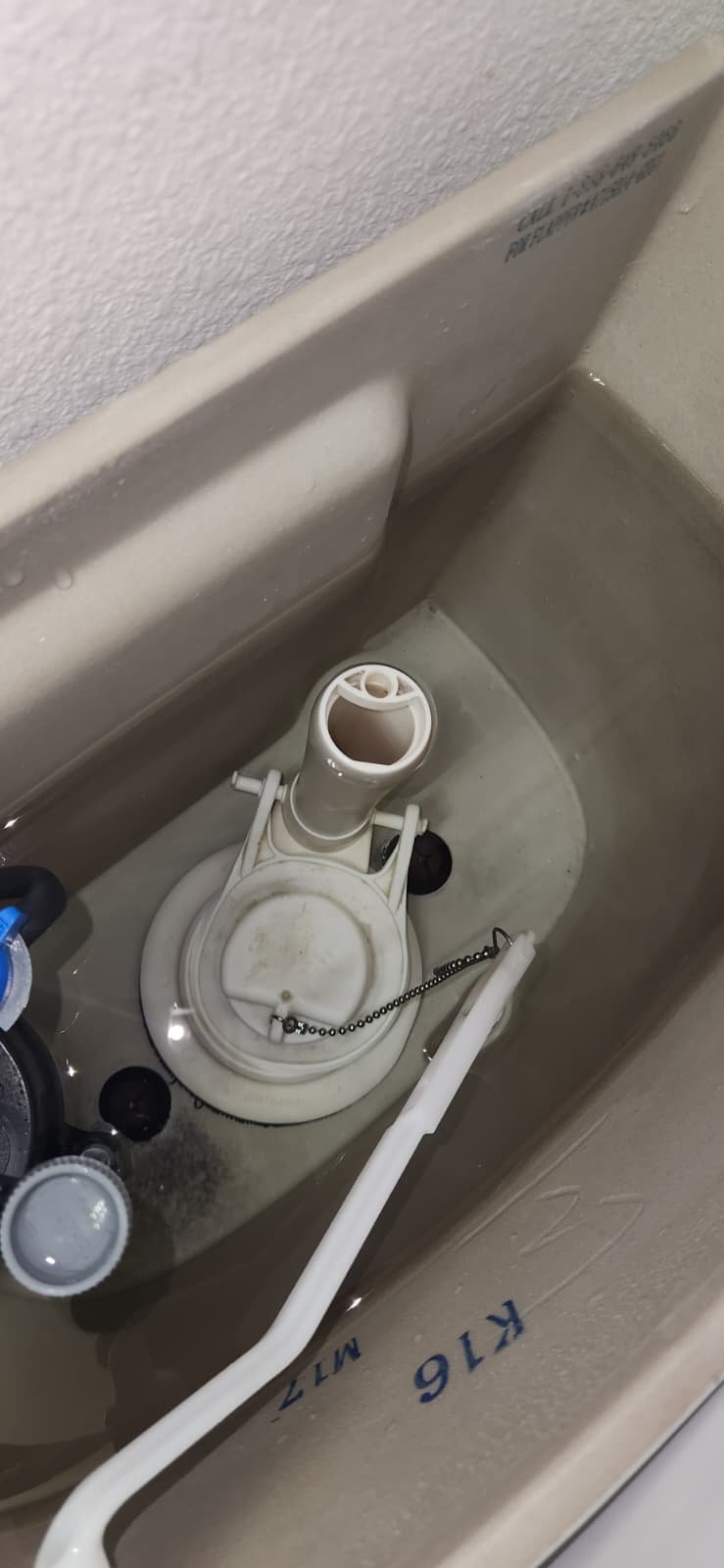 Toilet repair in Wesley Chapel, FL 33545