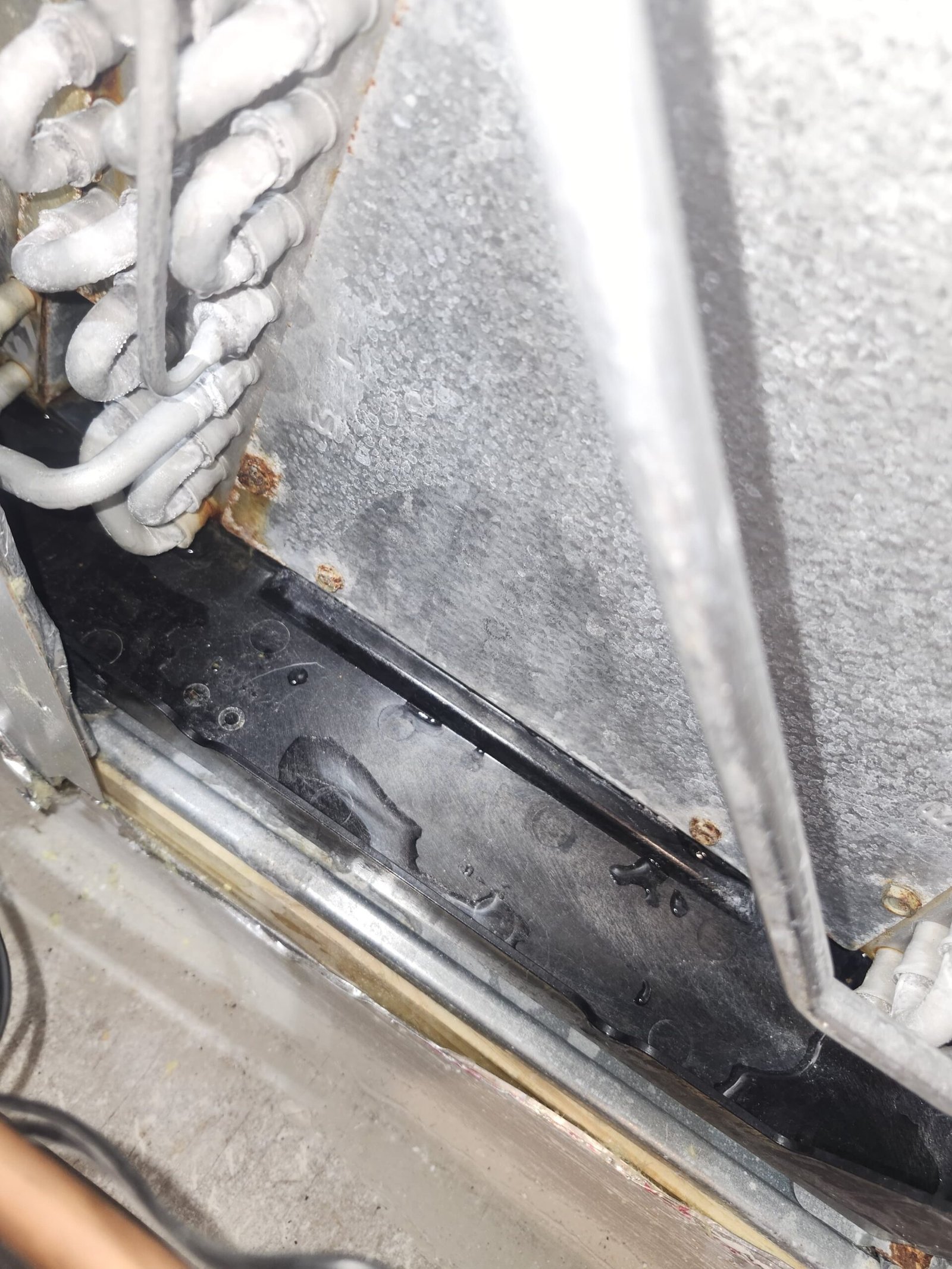 Residential HVAC preventive maintenance in Parrish, FL 34219