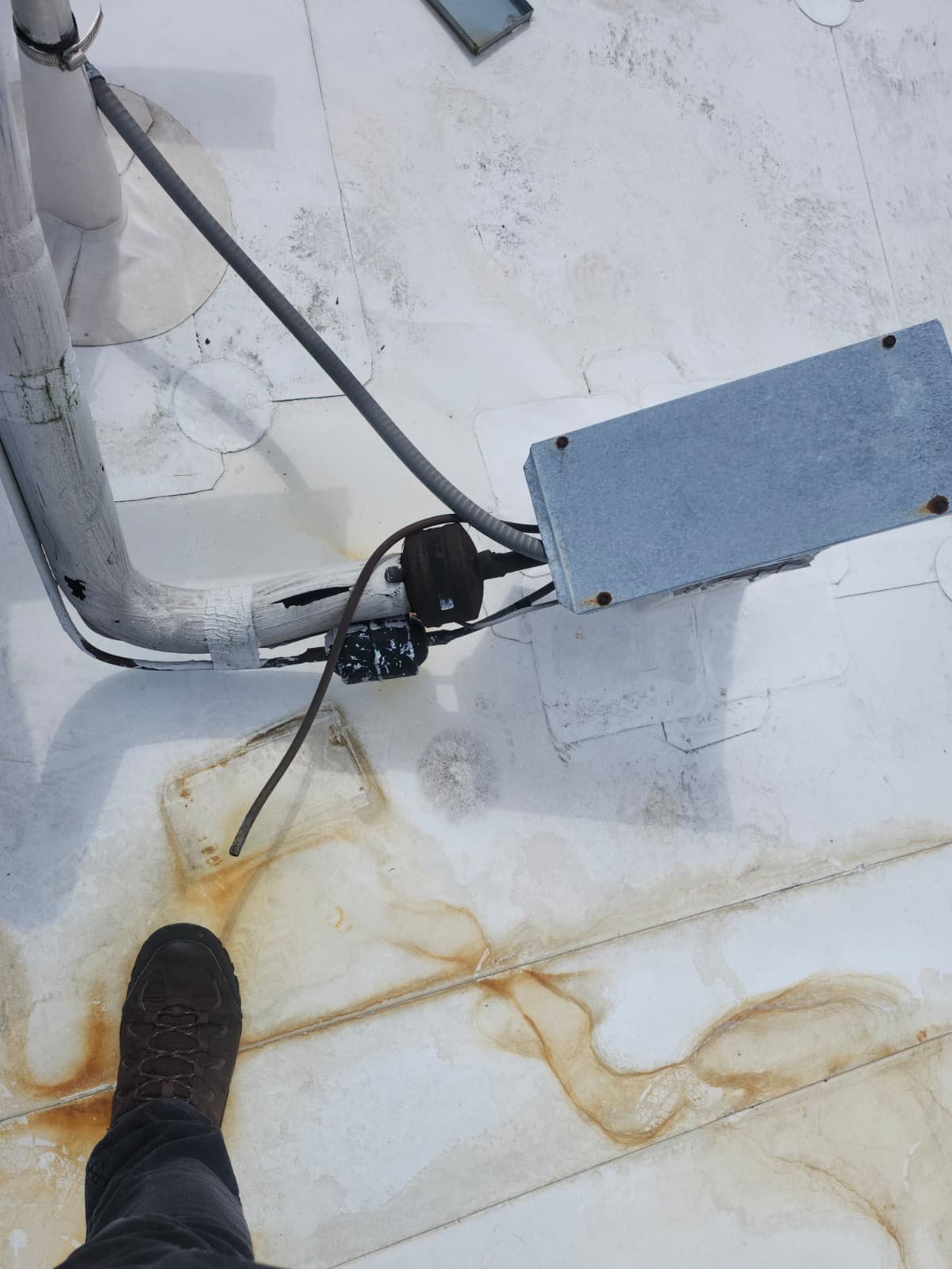 HVAC service visit Tampa, FL 33634