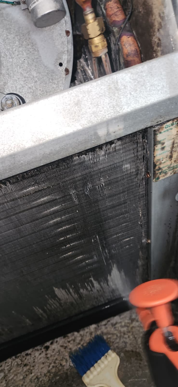 Air handler unit organic growth treatment Tampa, FL 33647