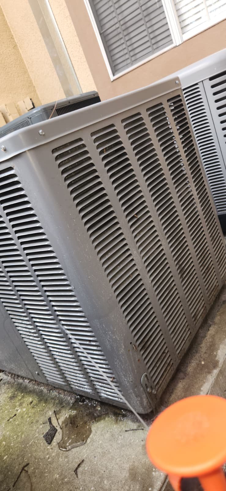 Plumbing and water heater flush in Tampa, FL 33647