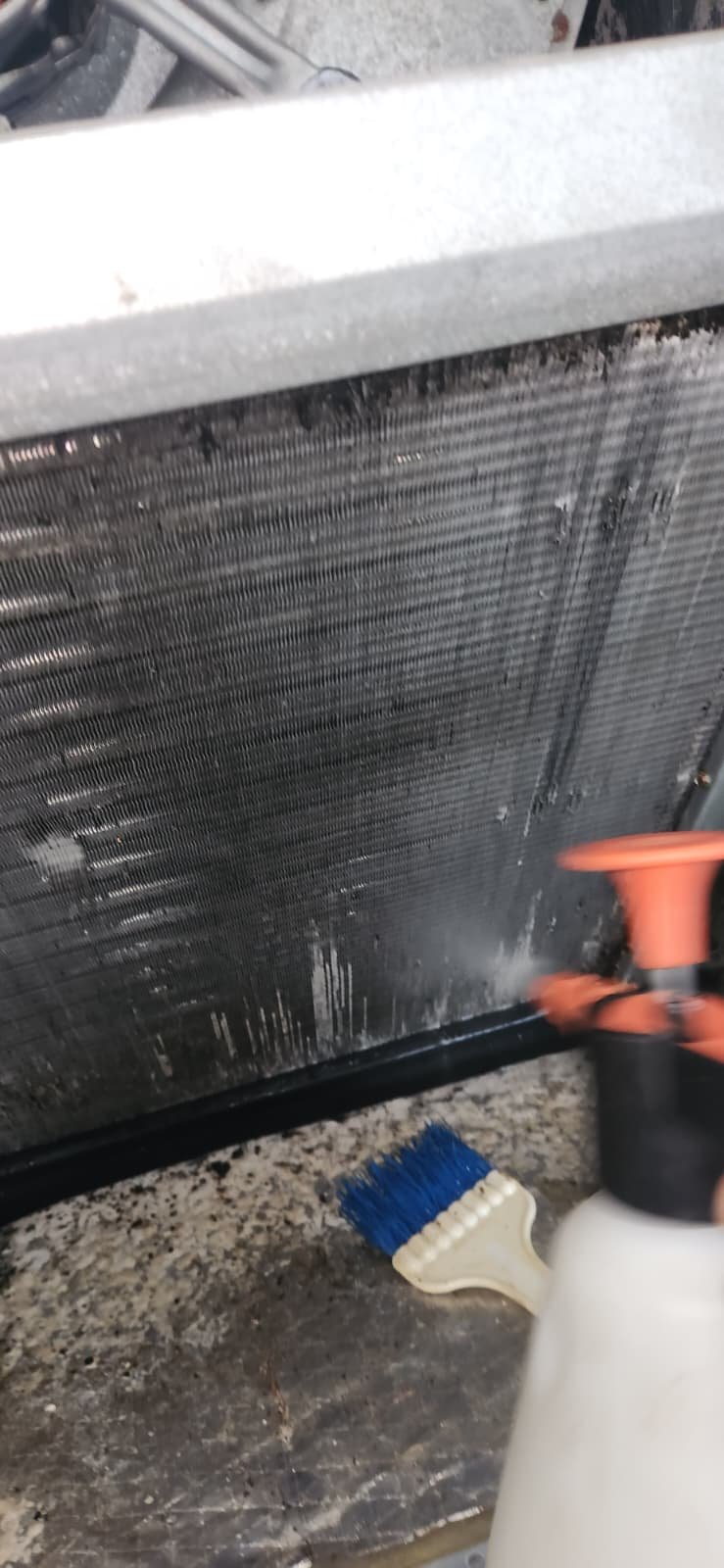 Plumbing maintenance water heater flush Tampa, FL 33647