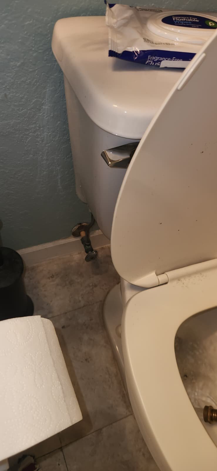 Plumbing inspection and water heater flush Tampa, FL 33647