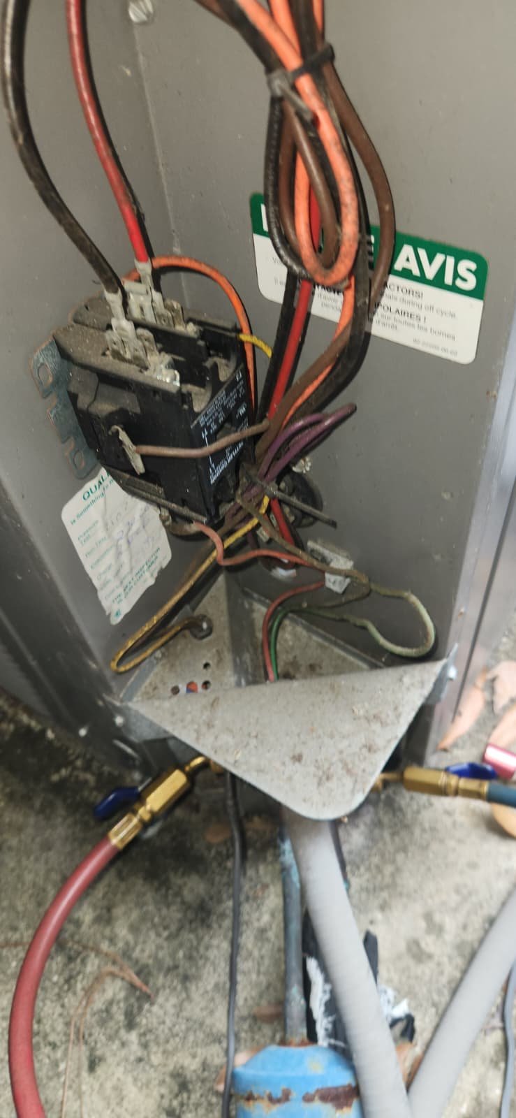 Water heater flush service visit Tampa, FL 33647