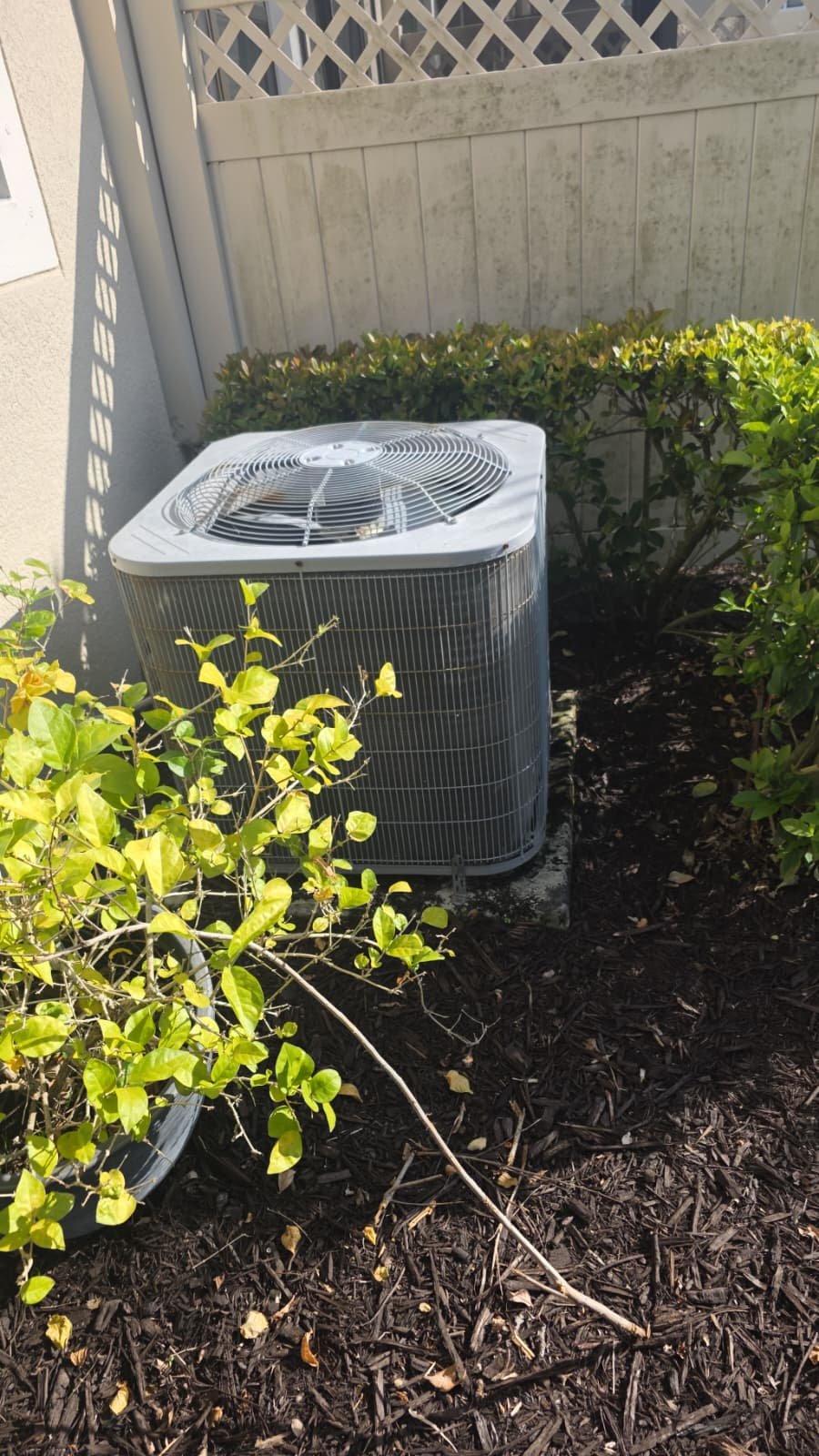 Routine HVAC maintenance check in Tampa, FL 33626