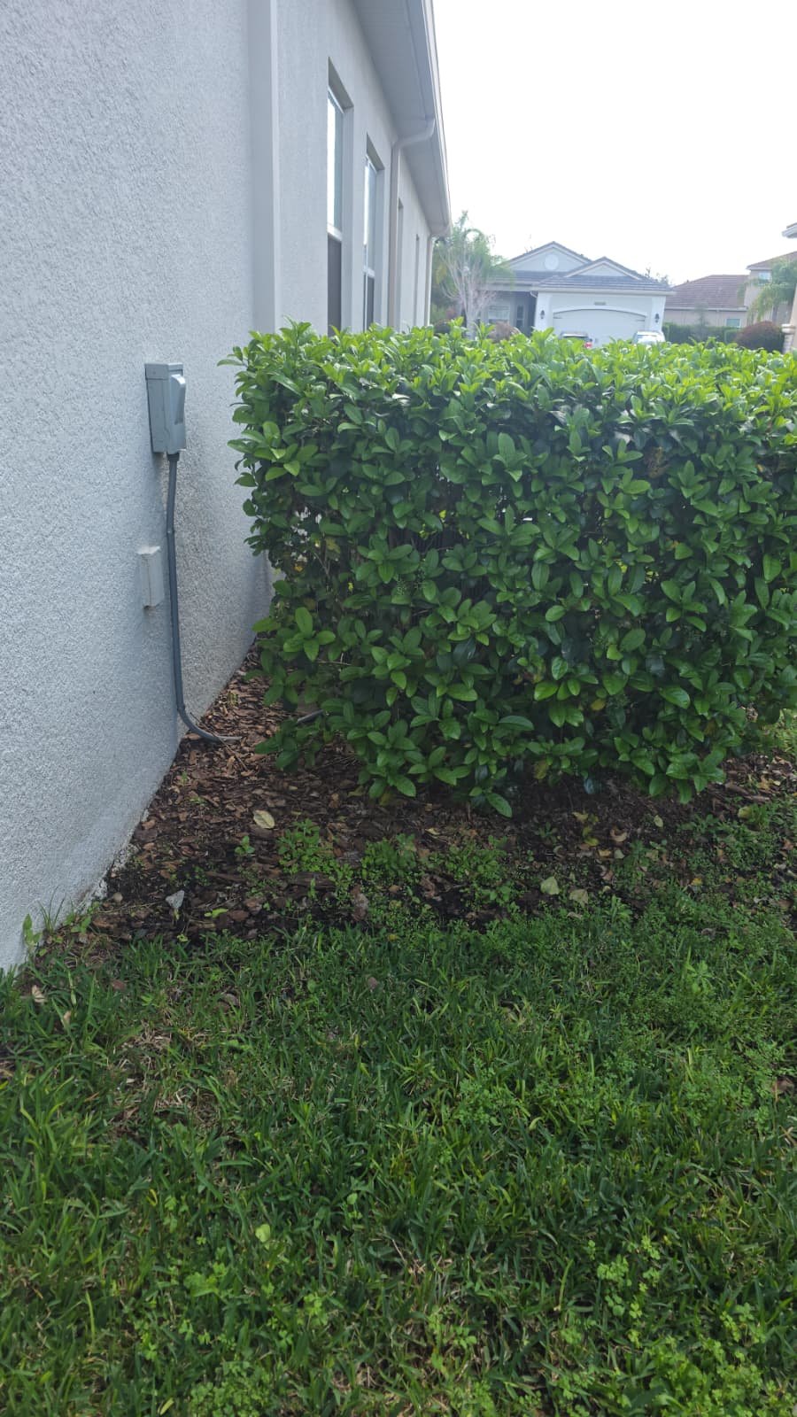Outdoor AC unit maintenance in Wesley Chapel, FL 33543